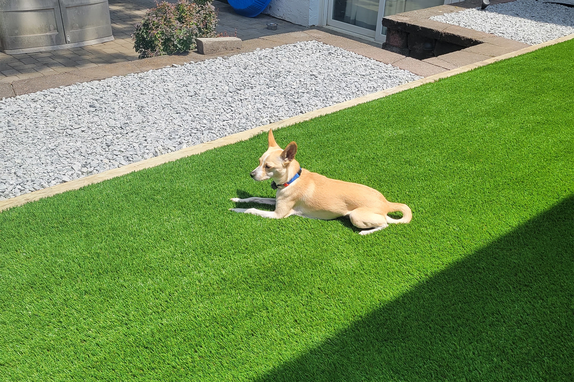 Artificial Turf Pet Area Installation
